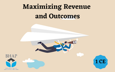 a person 'flying' a paper airplane with binoculars. Text reads 'Maximizing Revenue and Outcomes'