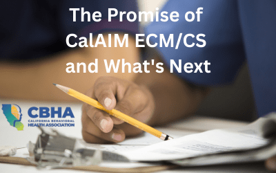 Webinar: The Promise of CalAIM ECM/CS and What’s Next