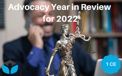 a photo of a man on a cell phone smiling in a suit, looking at a computer, blurred out. Front and in focus is a picture of the statue of Justice. Text reads 'Advocacy Year in Review for 2022'