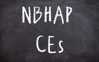 a chalkboard with the words 'NBHAP CEs' written on it