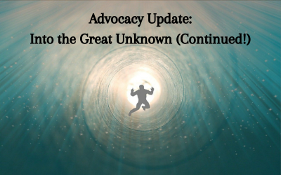 a swirling vortex of either sky or water, blue and yellow in color, with a dark male figure in the center. Text reads, 'Advocacy Update: Into the Great Unknown (Continued!)'