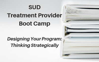 Webinar: SUD Treatment Provider Boot Camp — Designing Your Program: Thinking Strategically