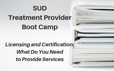 Webinar: SUD Treatment Provider Boot Camp — Licensing and Certification: What Do You Need to Provide Services