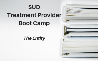 Webinar: SUD Treatment Provider Boot Camp — The Entity